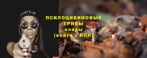 эйфоретик Михайловск