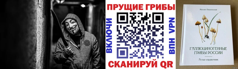 гидра зеркало  что такое наркотик  Северская  Галлюциногенные грибы прущие грибы 